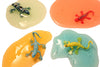 All colors of lizard slime with their lizards standing in the slime.